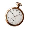 South Street Sport 36mm Watch